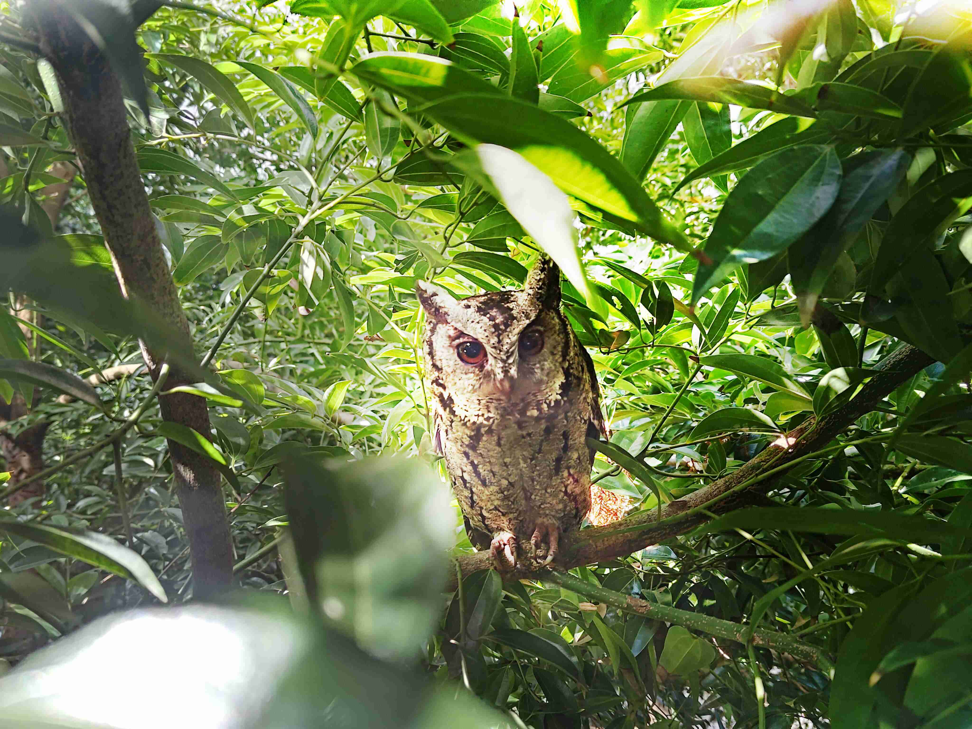 尊龙集团致力提倡净零绿生活，，，16年以来在全球各厂区植树逾百万棵，，造就各厂区树木蔚然成林，，，，犹如森林工厂，，，，成为许多生物的栖息地